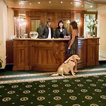 Hotell Carl And Do 4*